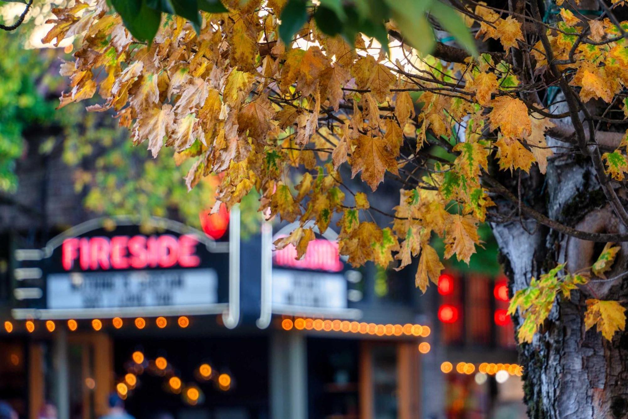 - The Tournesol Suite- Leisurely Strolls On Nw 23rd Portland