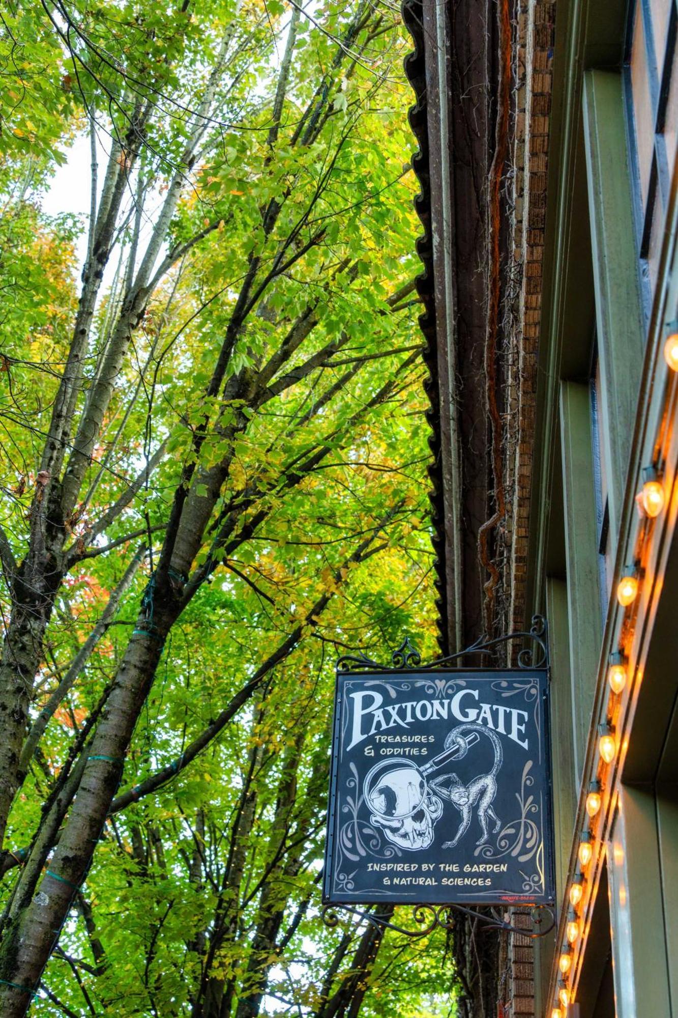 - The Tournesol Suite- Leisurely Strolls On Nw 23rd Apartment Portland