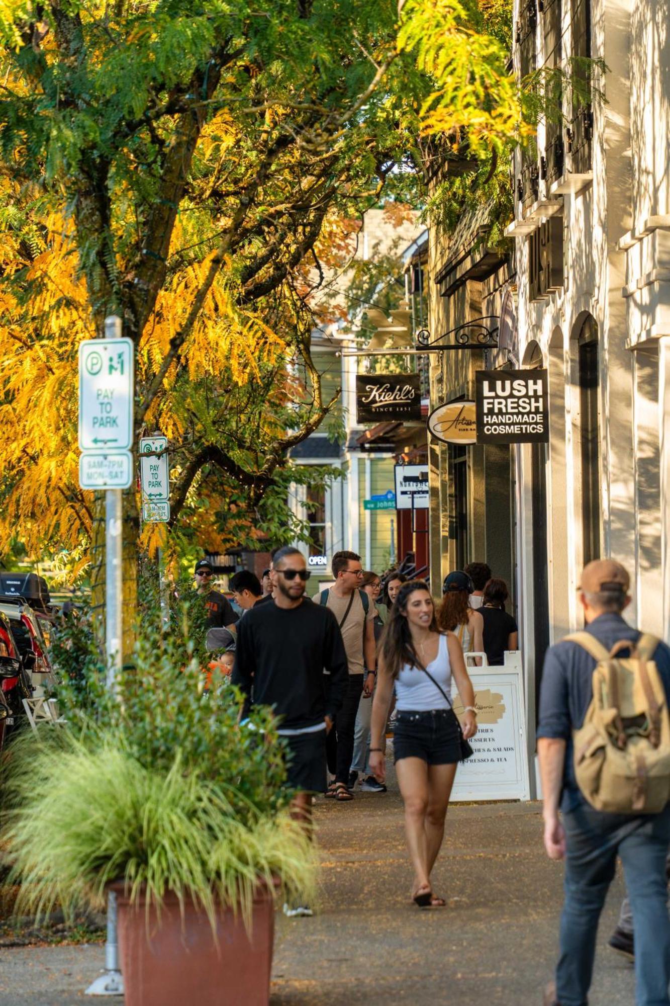 - The Tournesol Suite- Leisurely Strolls On Nw 23rd Portland